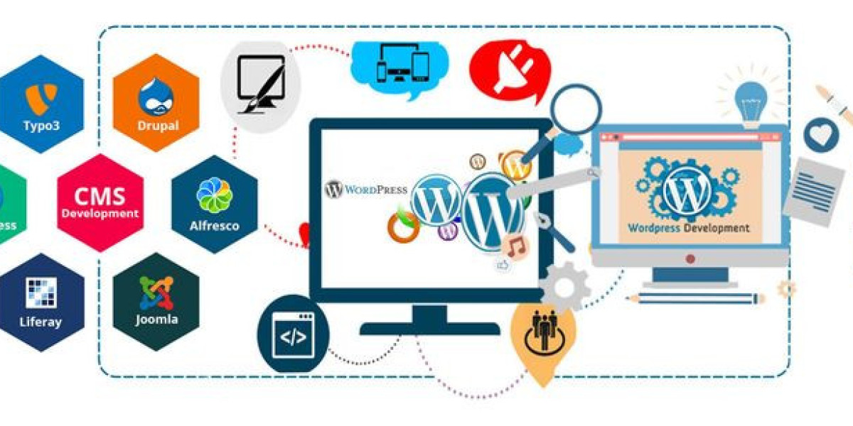 Custom CMS Website Development Services in Newham