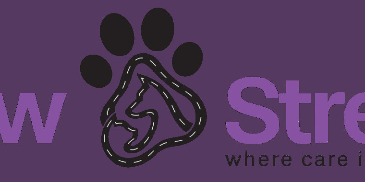 Safe Cat Daycare Dubai – Why Pet Owners Trust PawStreet for Loving Cat Care