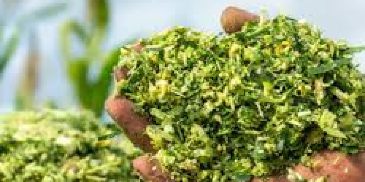 Revealed: Key Factors Influencing Demand in the Silage Inoculants Enzymes Market