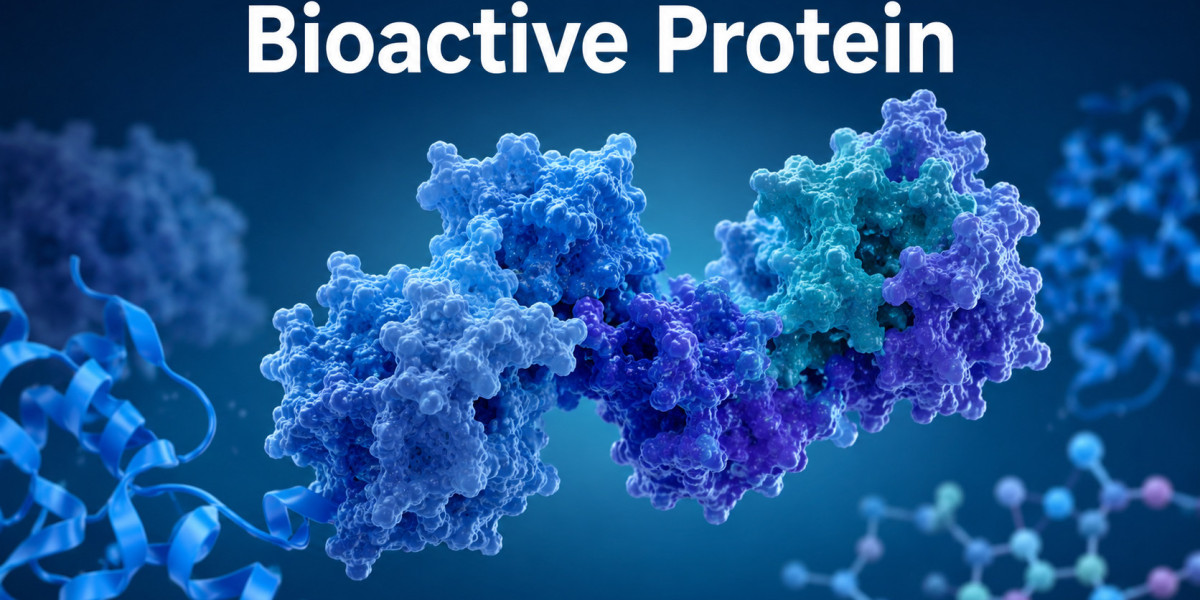 Innovations in Functional Ingredients Supporting Bioactive Protein Market Growth by 2034