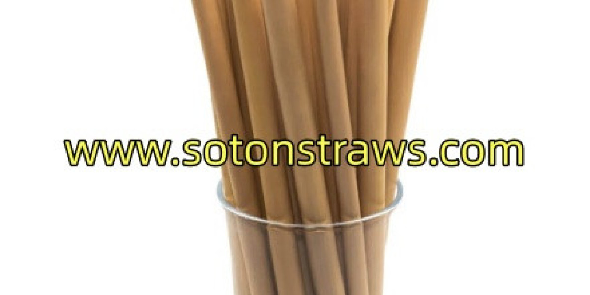 How Does SotonStraws Influence Eco-friendly Straws Trends?