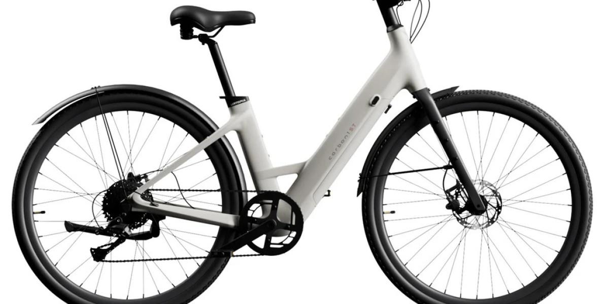 Are E Bikes the Future of Smart and Sustainable Transportation?