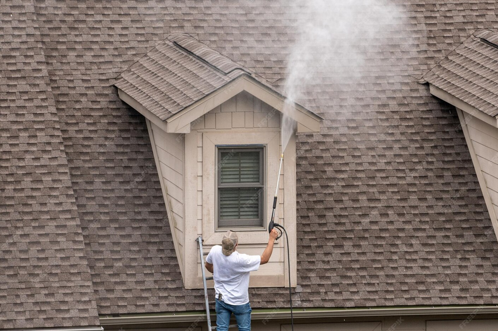 Roof Cleaning Auckland | EcoSpark