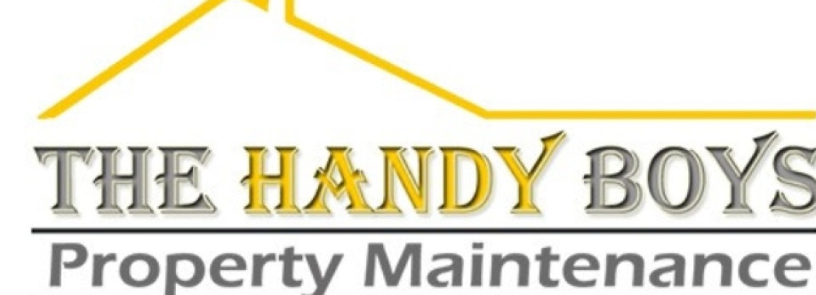 The Handy Boys Cover Image