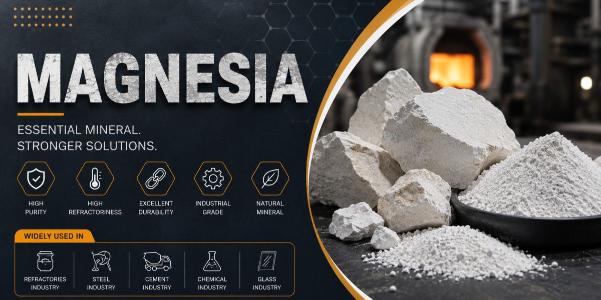 Magnesia Price Trend: Market Insights, Demand, and Future Outlook