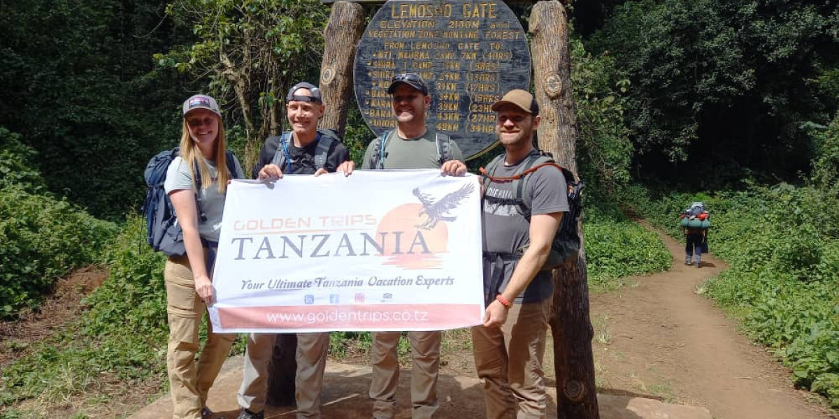 Best Kilimanjaro Tour Companies in 2026 for an Unforgettable Climb