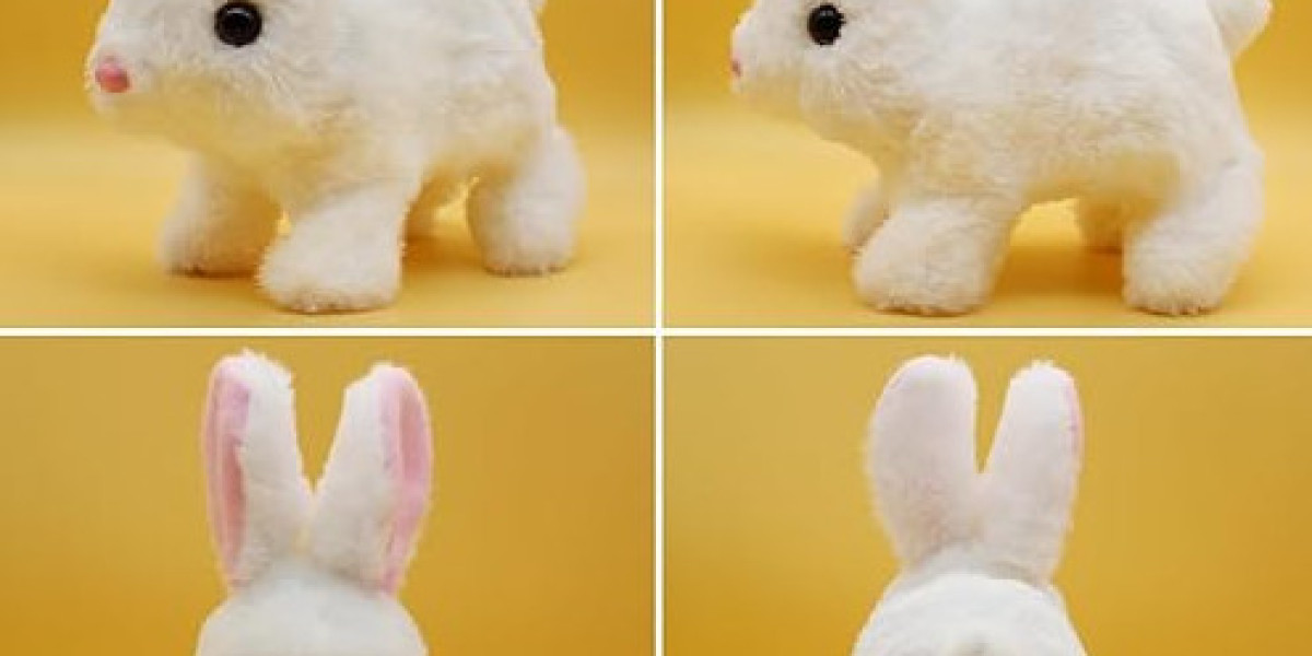 TRY-https://www.facebook.com/HoppsyBunnyRobot/