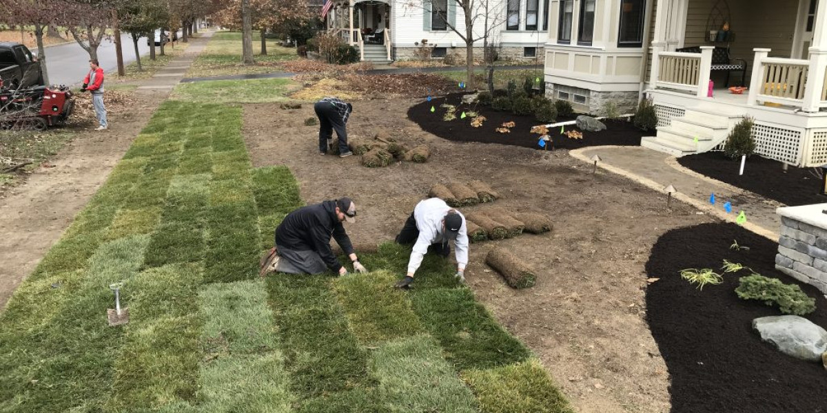 Transforming Outdoor Spaces Into Beautiful Green Retreats