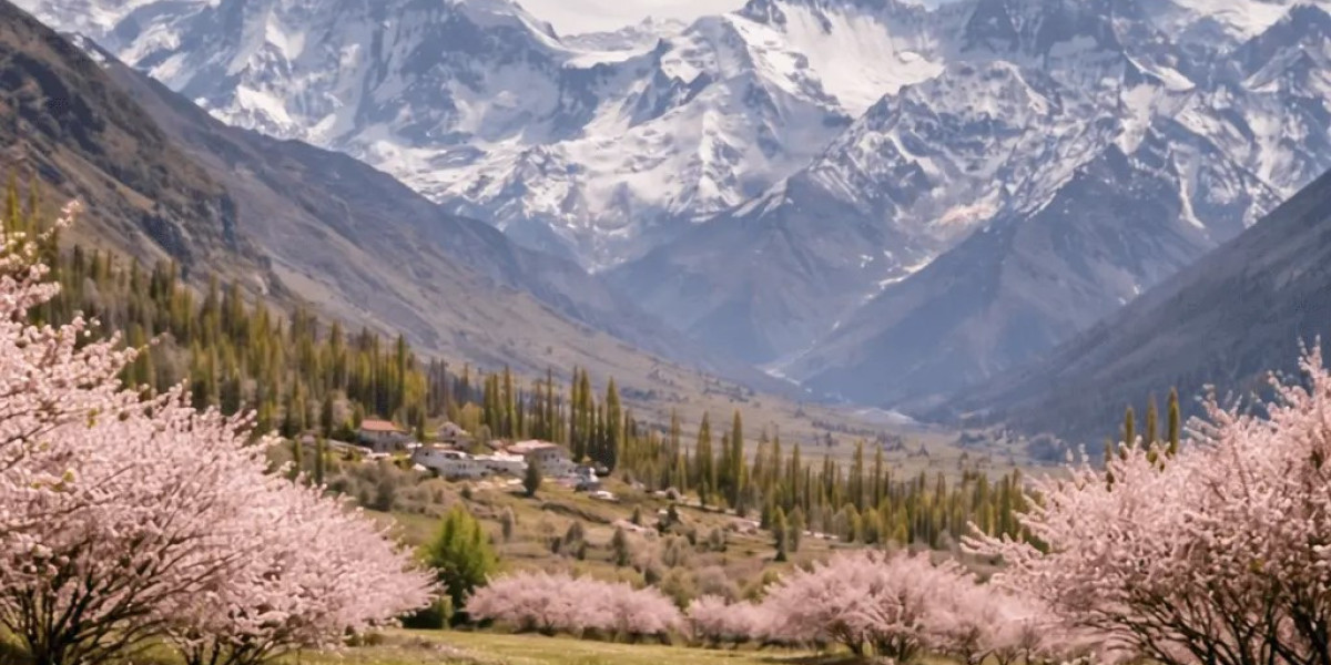 When Ladakh Turns Pink: My Apricot Blossom Experience in the Himalayas