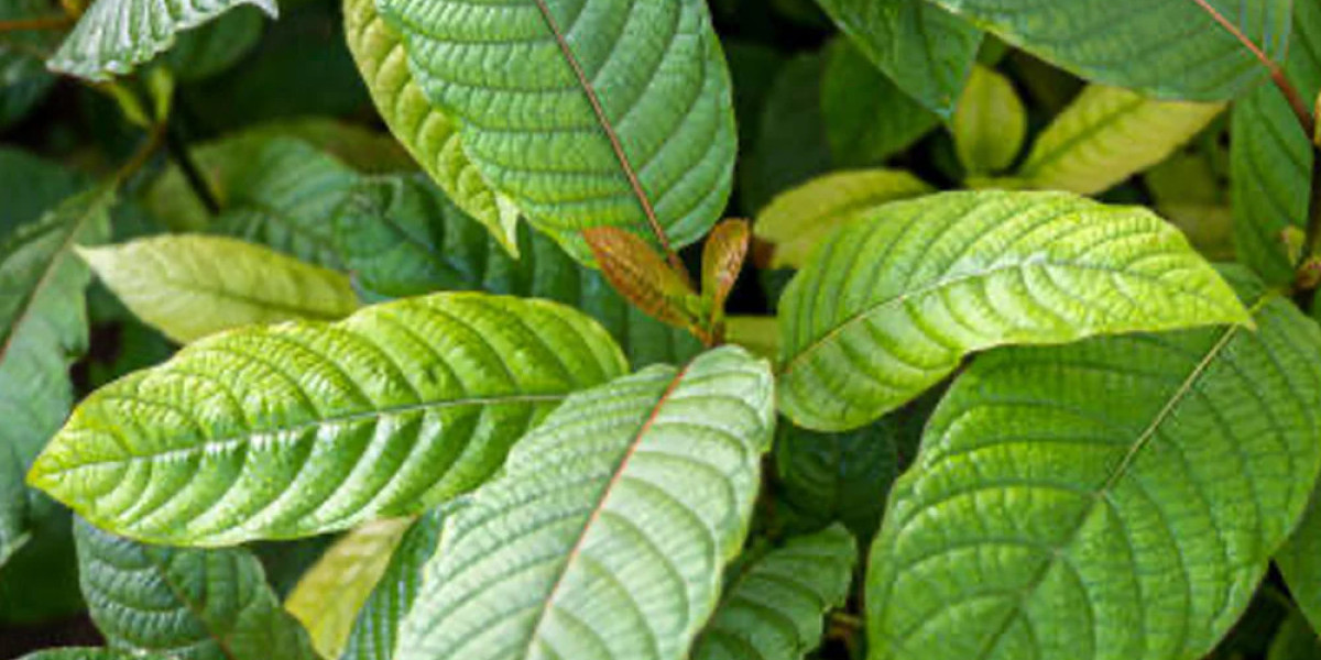 Buy K Shot Black Kratom Shots Online Today 