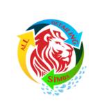 All Detailing Simba Profile Picture