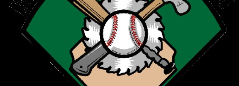 Baseball Racket Cover Image