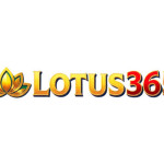 Lotus365 Cticket Id Provider Profile Picture