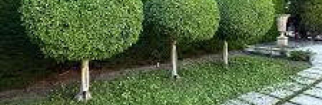 GreenGo Garden Service Cover Image