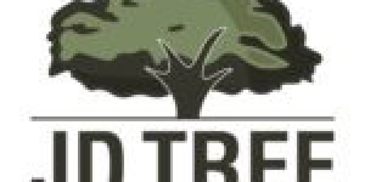 Expert Guide to Safe and Professional Tree Care in Greensboro