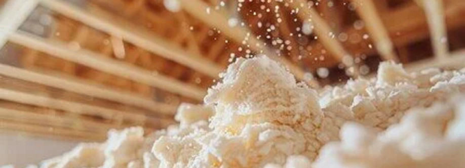 Raleigh Excel Spray Foam Insulation Cover Image