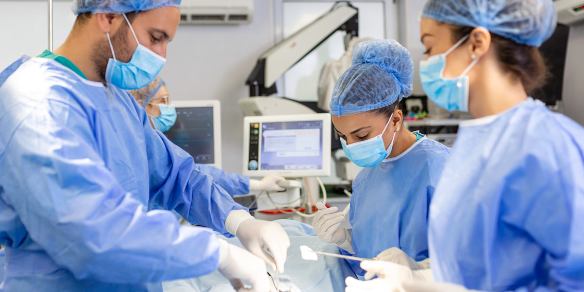 Pet Surgery 101: What Happens Before, During, and After Surgery