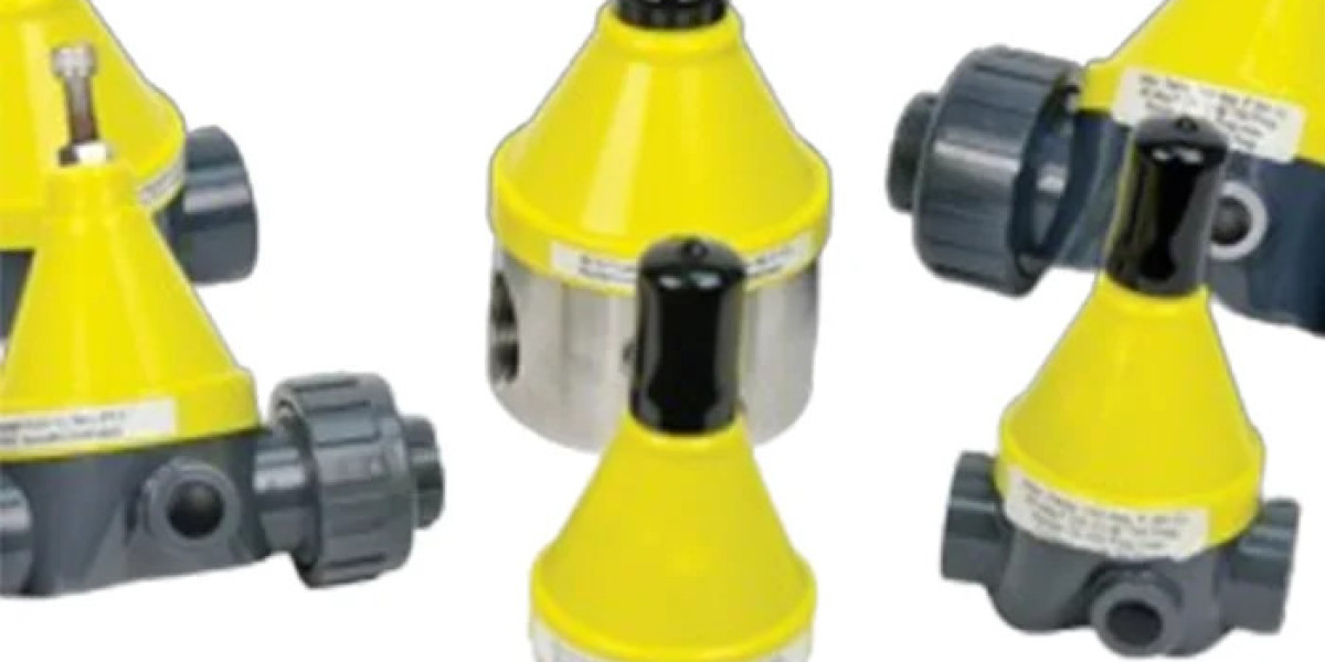 Safety Valve Back Pressure Valve