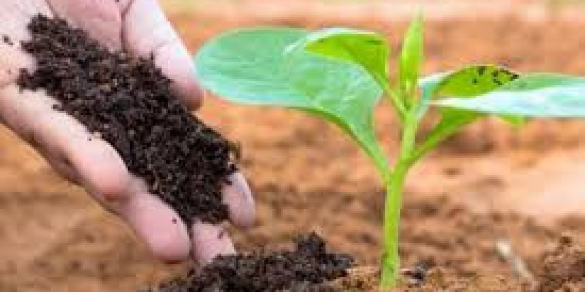 Errores Comunes al Comprar Bioestimulantes para Cultivos y Cómo Evitarlos