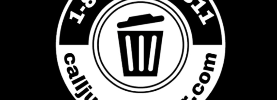 Junk Master Cover Image