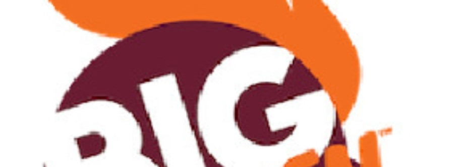 Big Chicken Franchise Cover Image