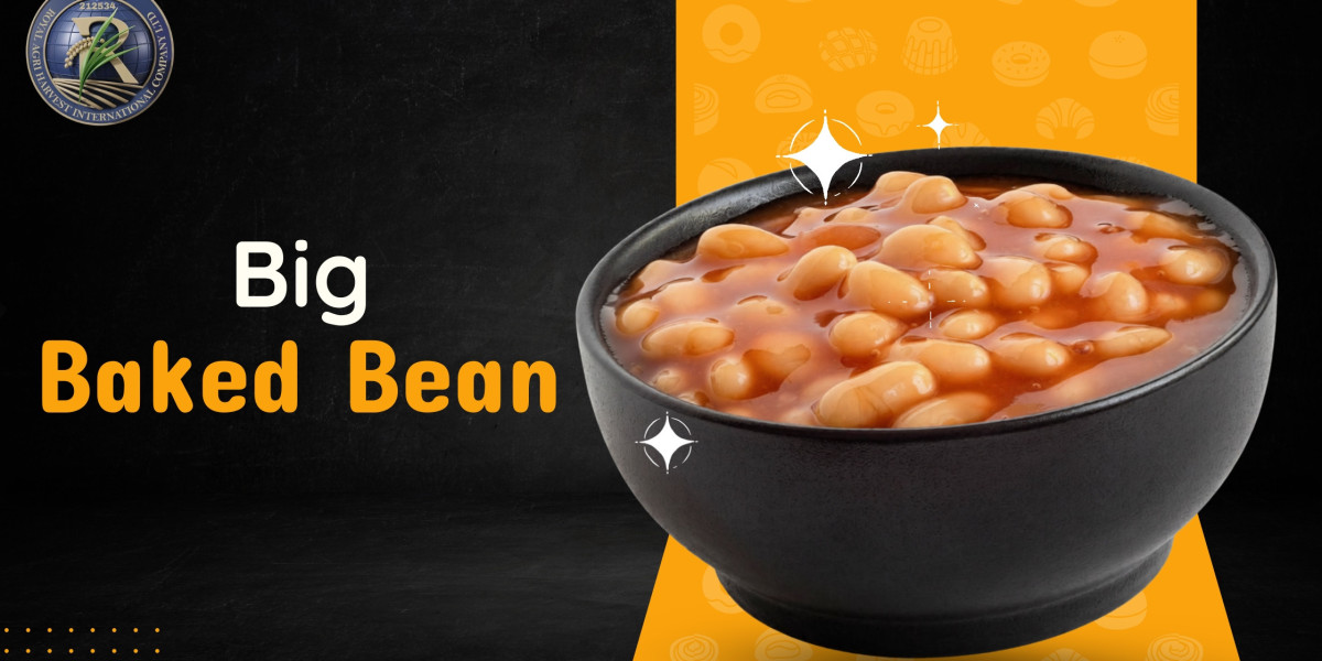 Big Baked Bean: A Nutritious Choice for Modern Diets