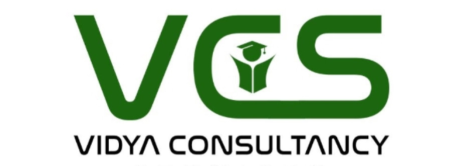 Vidya Consultancy services Cover Image