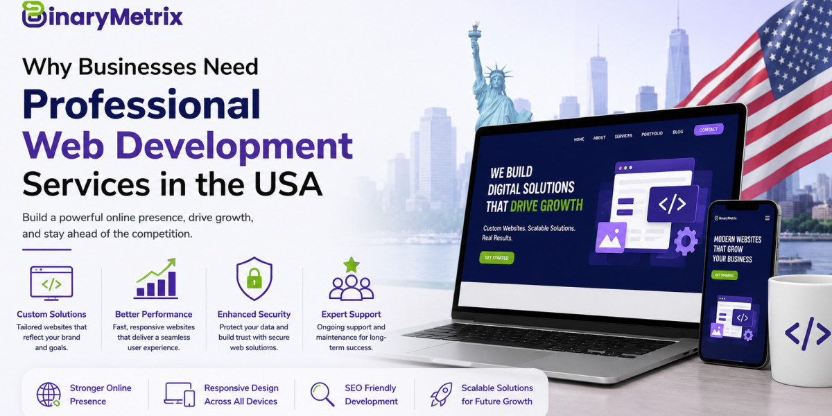 Why Businesses Need Professional Web Development Services in the USA