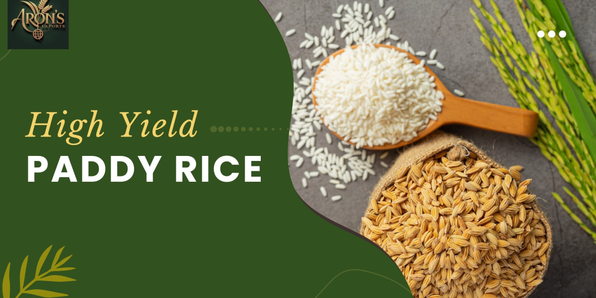 Top Benefits of High Yield Paddy Rice for Commercial Farming