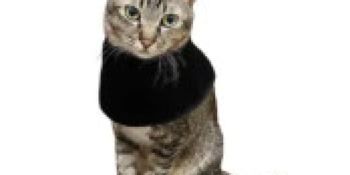 Gentle Light Technology for Healthier and Happier Cats