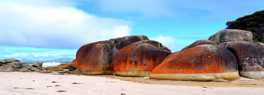 Australian Portal Immigration Cover Image