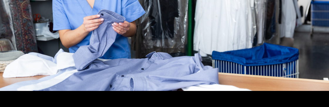 Pari Drycleaners Cover Image