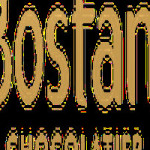 Bostani Chocolatier Chocolatier Profile Picture