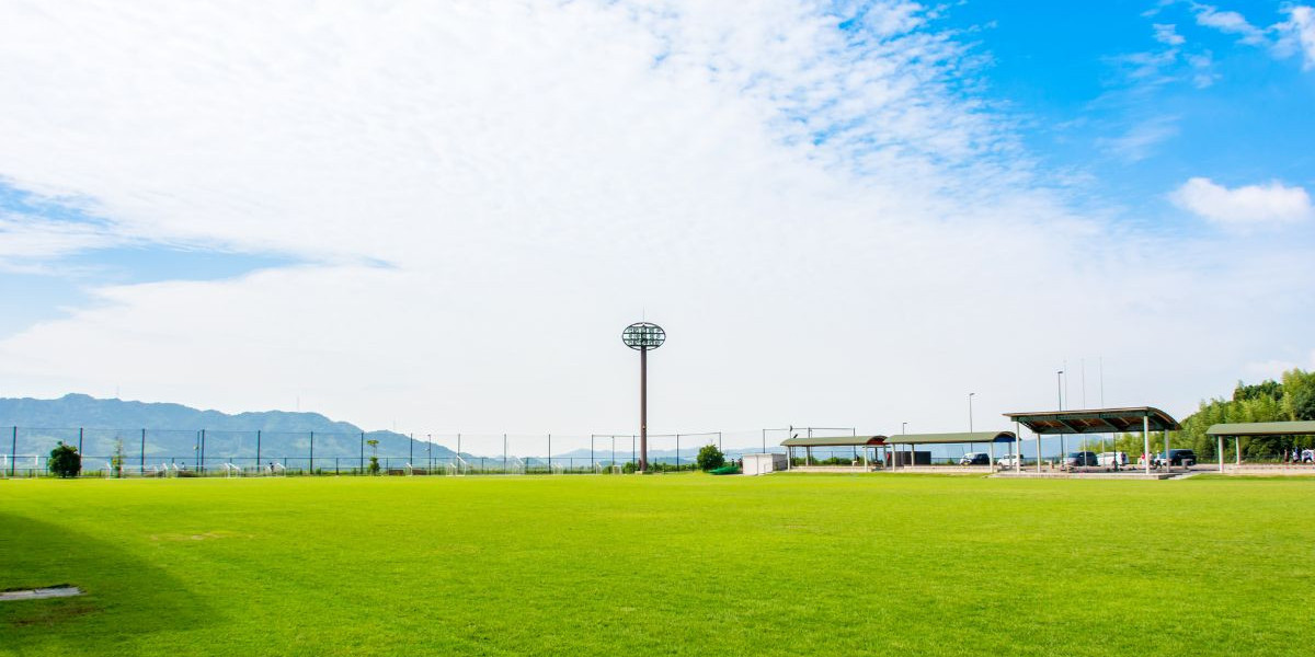 Stadium Zoysia Grass Near Me: Best Local Suppliers and Installation Options