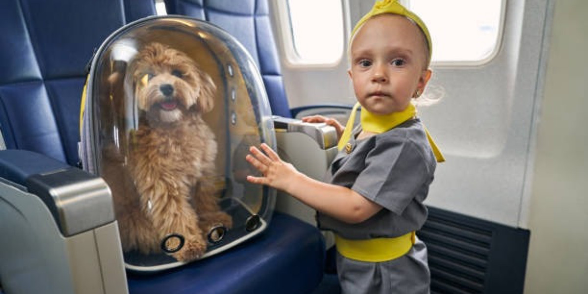 Modern Solutions for Comfortable Animal Air Transportation