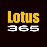 lotus 365 Profile Picture