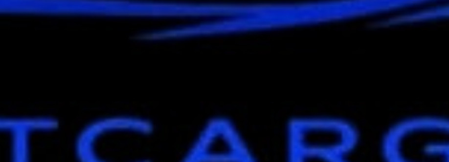 SmartCarGuides carguides Cover Image