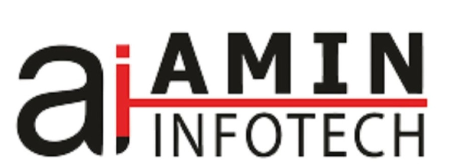 Amin Infotech Cover Image