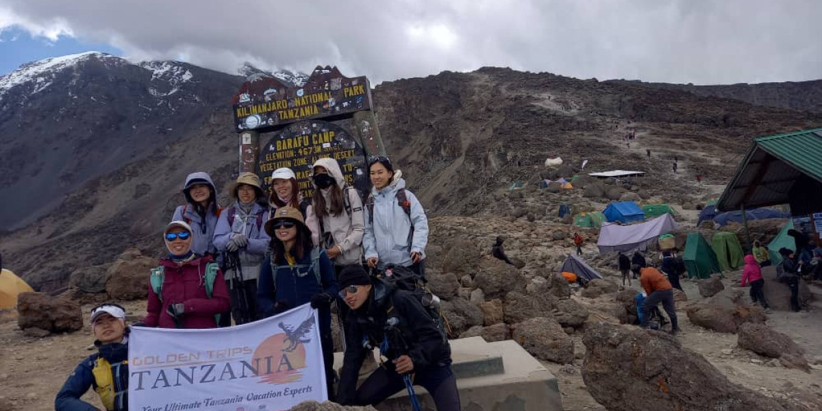 Begin Your Dream Mountain Adventure with Kilimanjaro Tanzania Tours