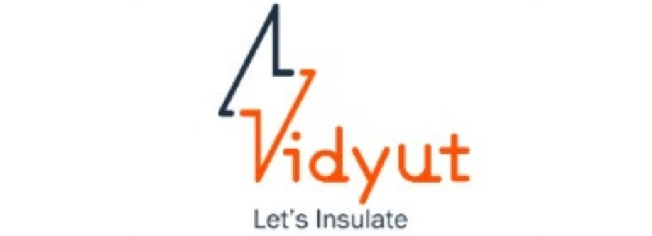 Vidyut Impex Cover Image