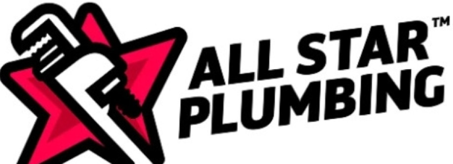 All Star Plumbing Cover Image