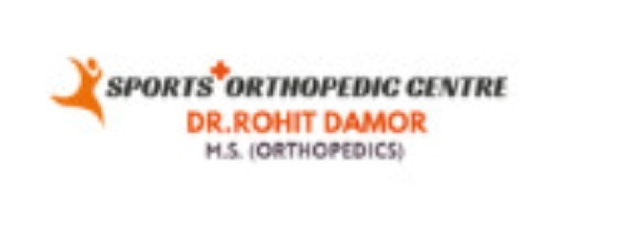 Rohit Damor Cover Image