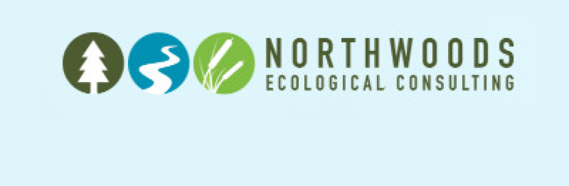 North Woods Cover Image