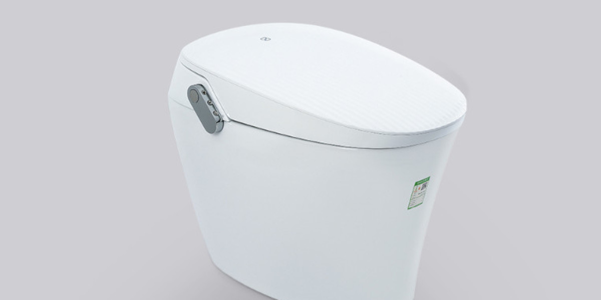 Can a Self-Cleaning Toilet Reduce Cleaning Work?