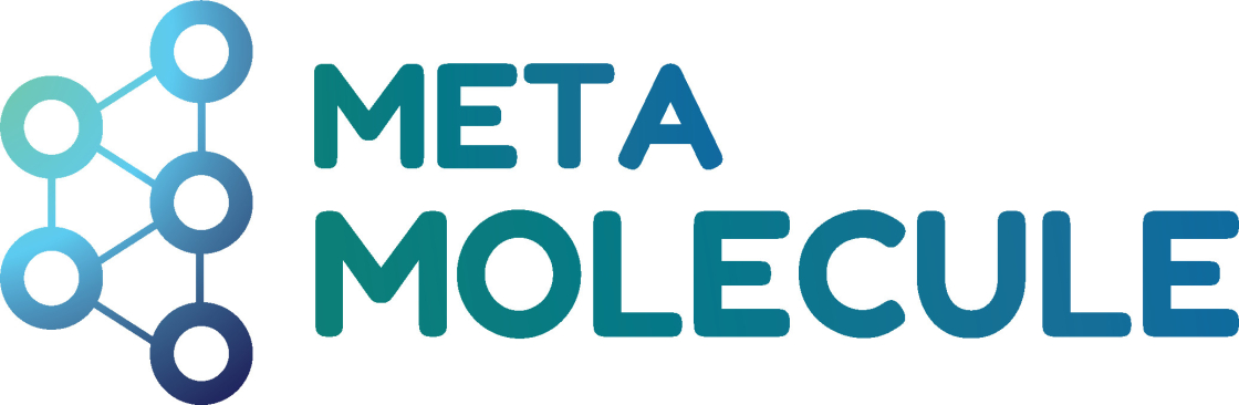 Meta Molecule Cover Image