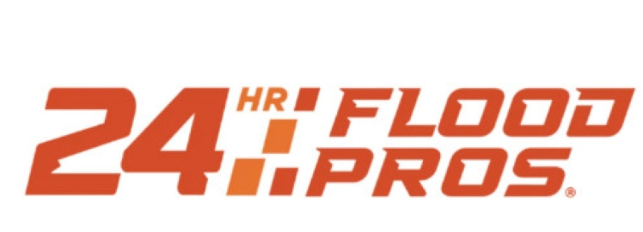 24hourflood pros Cover Image