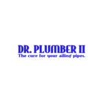 Dr Plumber II Profile Picture