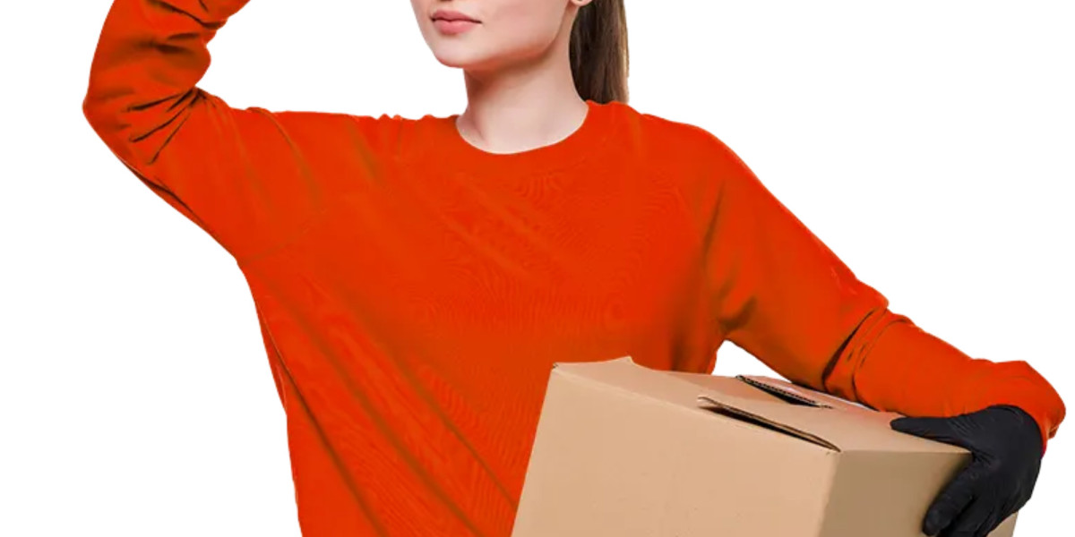 Best Packers and Movers in Hisar