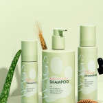 Flea And Tick Shampoo Wags PetCare Asia Profile Picture