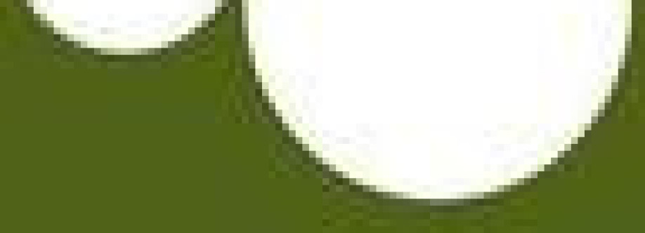 Pond Soup Cover Image